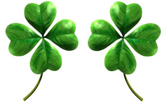 magic clover