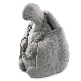 Buda tortuga