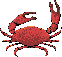 simbolismo del cangrejo