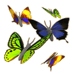 símbolo mariposa