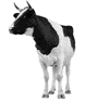símbología de la vaca